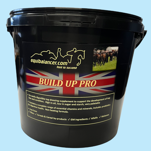 Build Up Pro