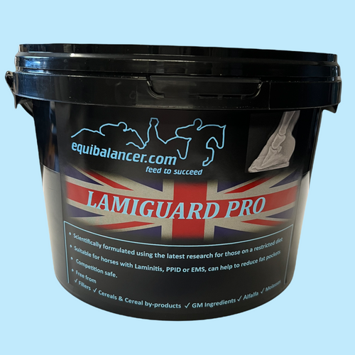 LamiGuard Pro